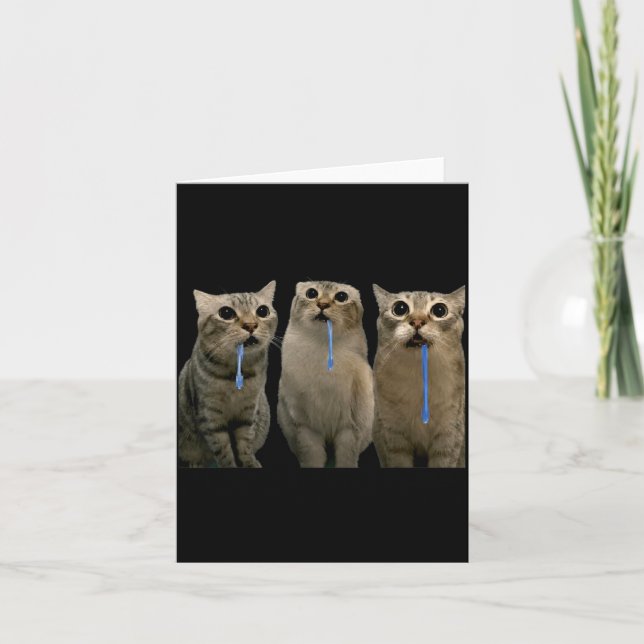 Cats Yelling At A Drooling Cat Double Funny Meme Card (Front)