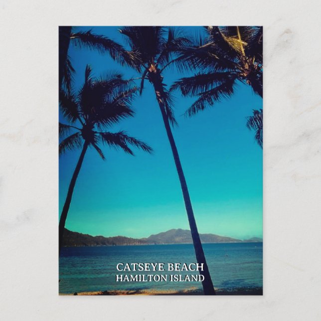 Catseye Beach, Hamilton Island Postcard (Front)