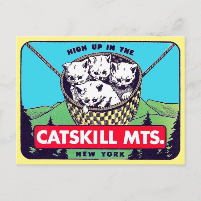 Catskill Mountains, New York  Postcard (Front)