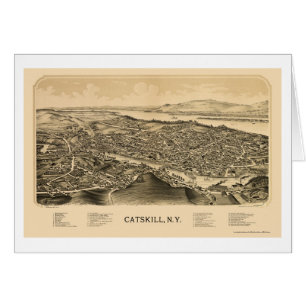 Catskill, NY Panoramic Map - 1889