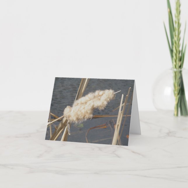 Cattail in March Note Card (Front)