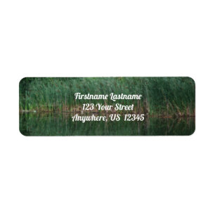 Cattail Reflections In Pond Orton Effect Address Return Address Label