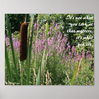 Cattail & Wildflower Inspirational Poster