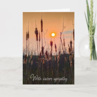 Cattails and Sunset Sympathy