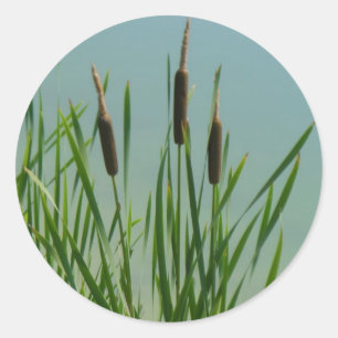 Cattails Classic Round Sticker