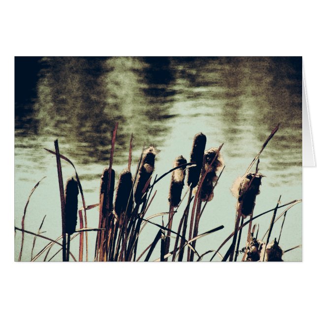 Cattails, Pond Plants (Front Horizontal)