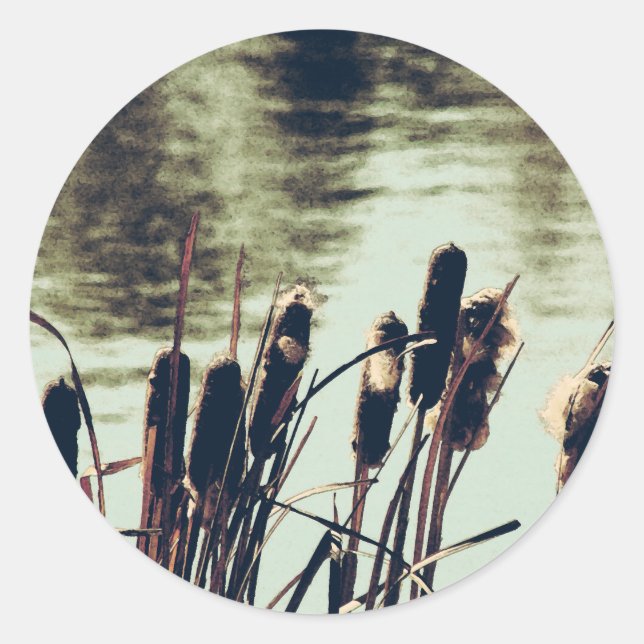 Cattails, Pond Plants Classic Round Sticker (Front)