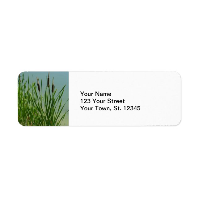 Cattails Return Address Label (Front)