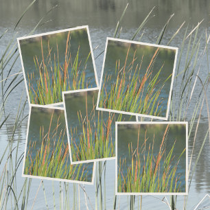 Cattails Waterfront Photographic Lake Napkin