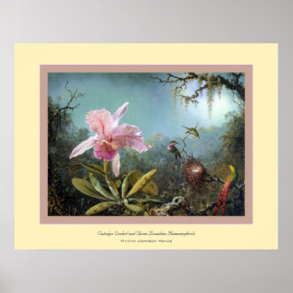 Cattelya Orchid~ Martin Johnson Heade Poster