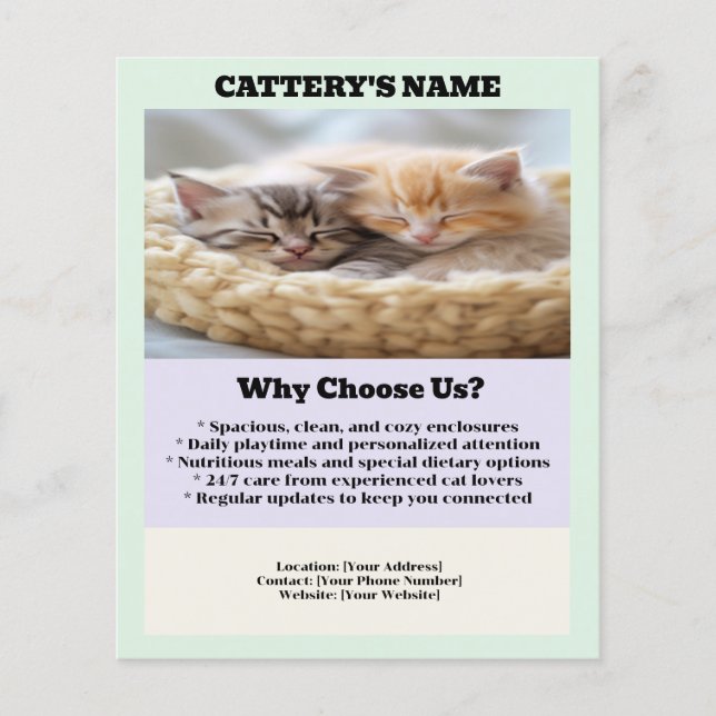 Cattery Flyer Chic and Simple (Front)