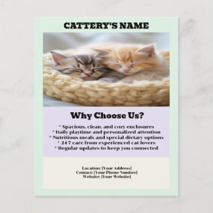 Cattery Flyer Chic and Simple