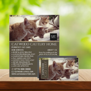 Cattery, Pet Boarding Service, Advertising Flyer