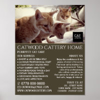 Cattery, Pet Boarding Service, Advertising
