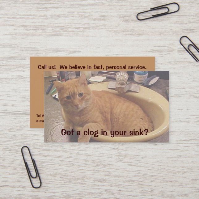 !Cattitude! Business Card (Front/Back In Situ)