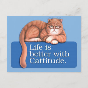 Cattitude Postcard