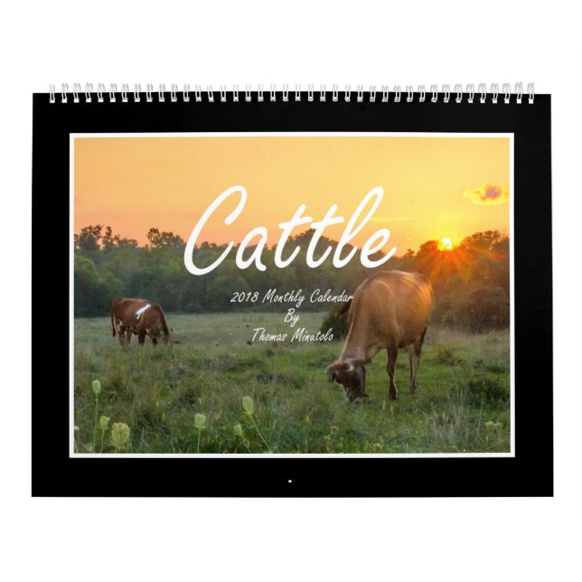 Cattle 2018 Monthly Calendar By Thomas Minutolo (Cover)