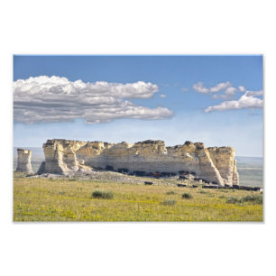 Cattle at Monument Rocks, Kansas Photo Print