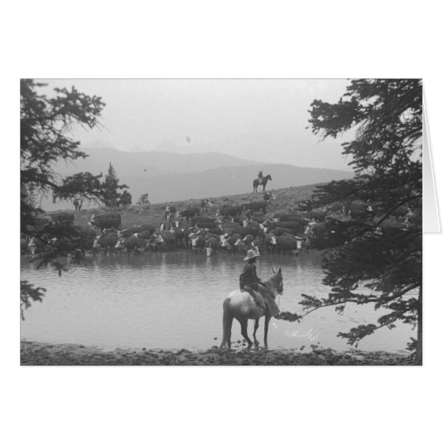 Cattle by a pond with two cowboys (Front Horizontal)