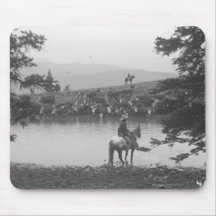 Cattle by a pond with two cowboys. mouse pad