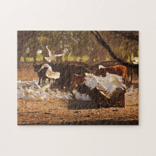 Cattle & Cockatoos in the Australian Bush Jigsaw Puzzle