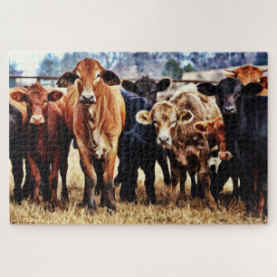 Cattle Colour Variety Giant Puzzle