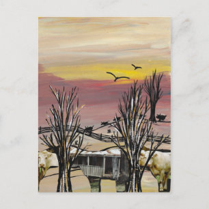 Cattle Country postcard