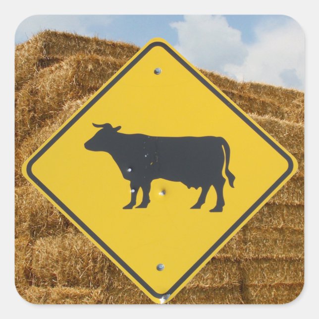 Cattle Crossing Sign, Baled Hay, Blue Sky, Clouds Square Sticker (Front)
