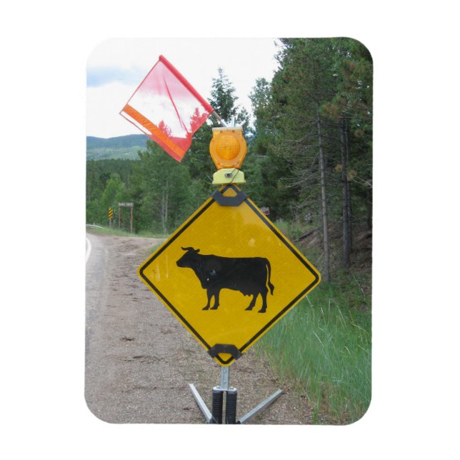 Cattle Crossing Warning Sign, Utah Magnet (Vertical)