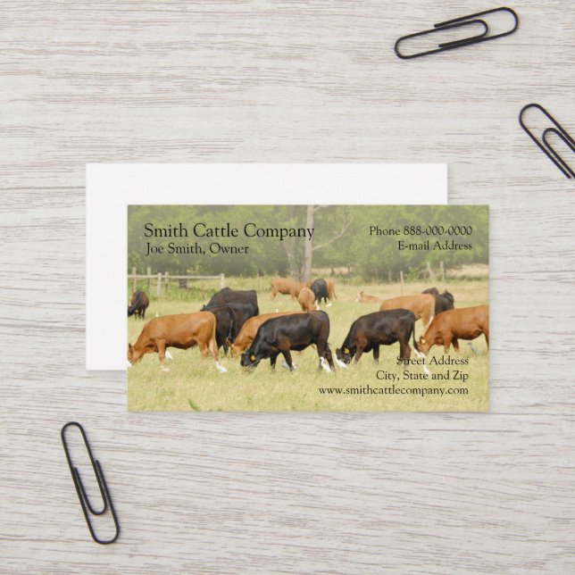 Cattle Dairy Farmer Business Card (Front/Back In Situ)
