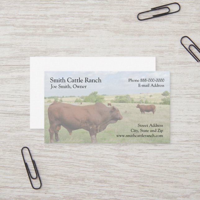 Cattle Dairy Farmer Business Card (Front/Back In Situ)