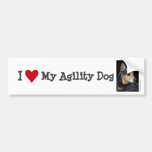 Cattle Dog Bumper Sticker - "Quigley" 2