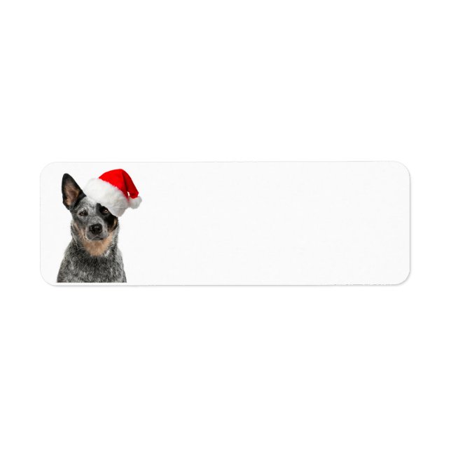 Cattle Dog Christmas Return Address Labels (Front)