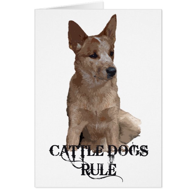 Cattle Dogs Rule (Front)