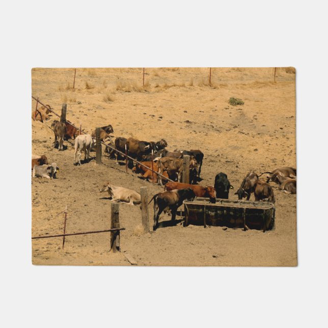 Cattle Doormat (Front)