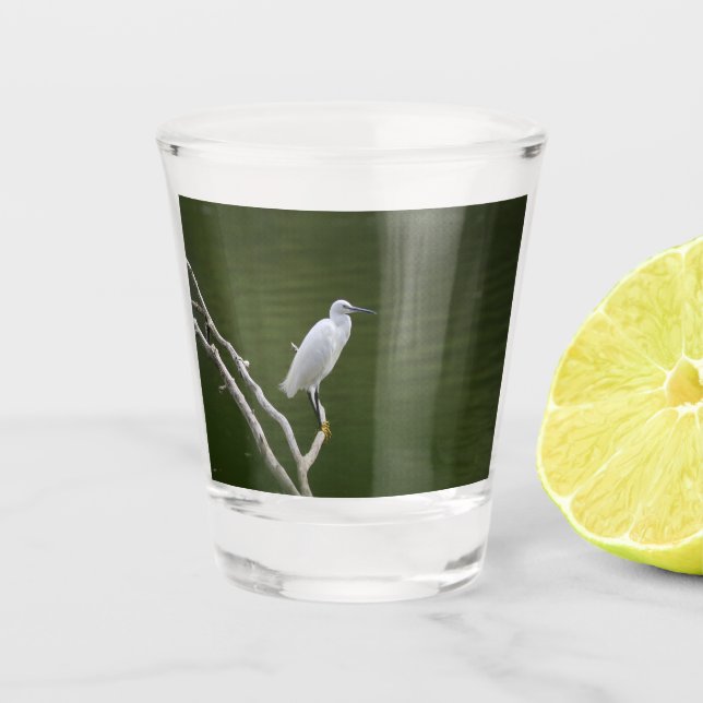 Cattle Egret Glass (Front)