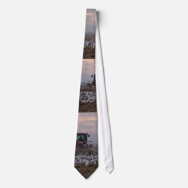 Cattle Egrets & Tractor Tie (Front)
