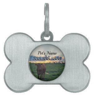 Cattle Farm Sunset Pet ID Tag