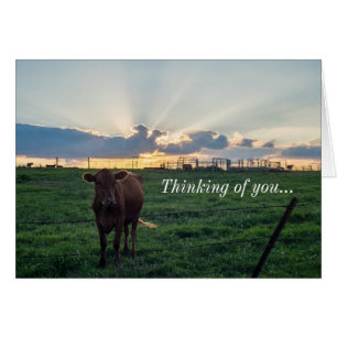 Cattle Farm Sunset Thinking Of You Card