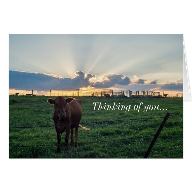 Cattle Farm Sunset Thinking Of You Card (Front Horizontal)