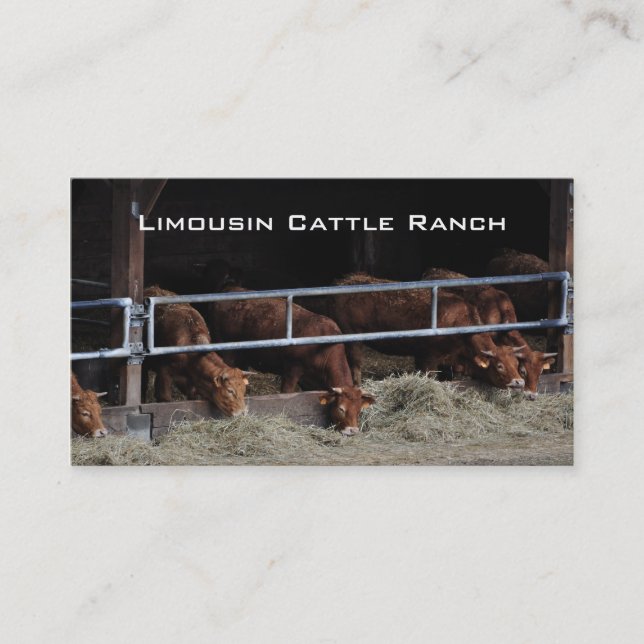 Cattle feeding in an open barn business card (Front)