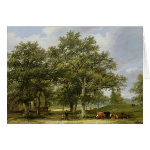 Cattle Grazing