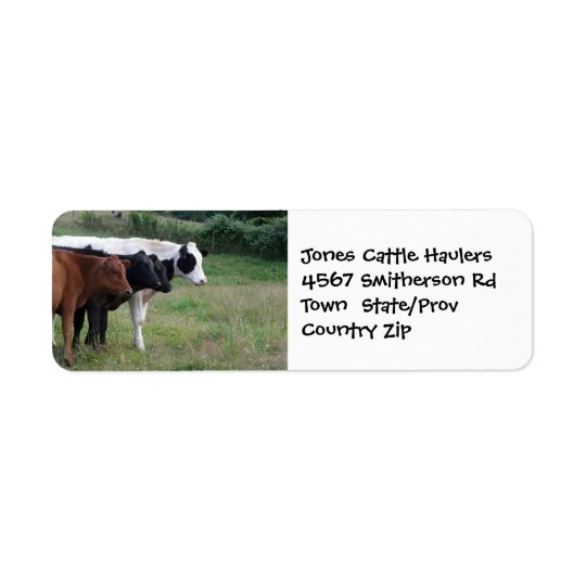 Cattle Hauling Farm or Ranch Sticker Return Address Label