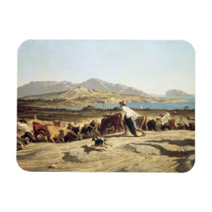Cattle herding near Marseilles, 1853 (oil on canva Magnet