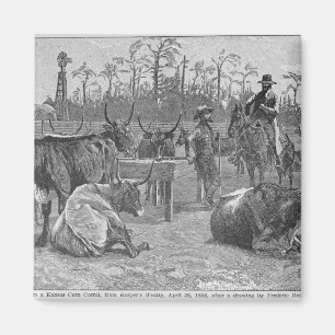 Cattle in a Kansas Corn Corral Magnet