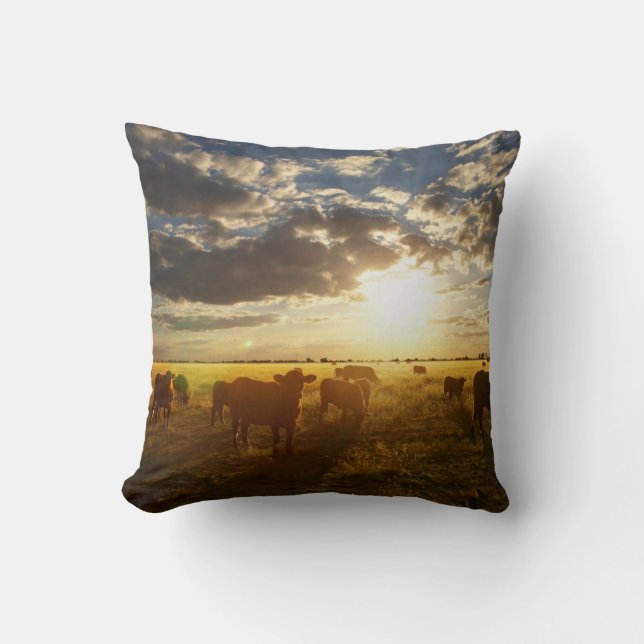 Cattle In Field, Sunset Cushion (Front)