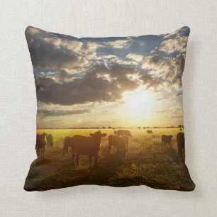 Cattle In Field, Sunset Cushion