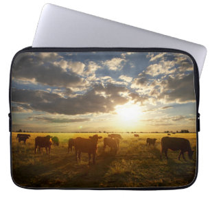 Cattle In Field, Sunset Laptop Sleeve