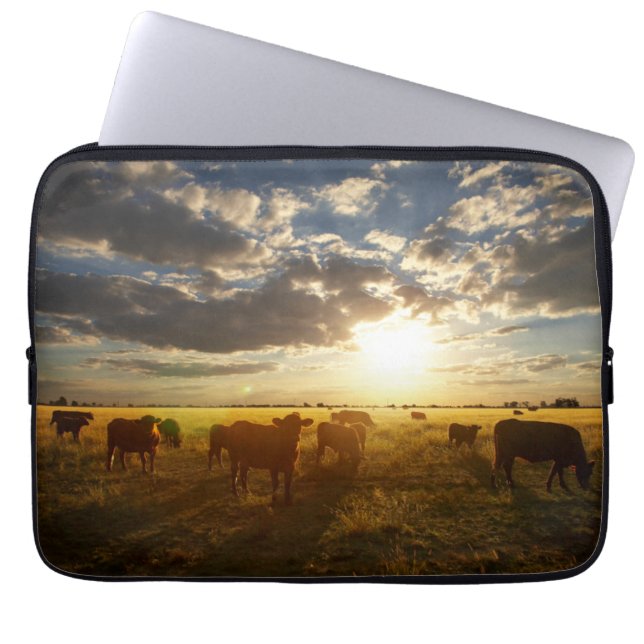 Cattle In Field, Sunset Laptop Sleeve (Front)