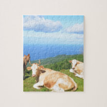 Cattle in the Azores.